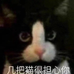 litterboy76's Avatar'