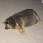 limitless6eyes's Avatar'