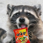 Racoom_man's Avatar'