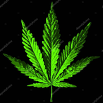 JohnanCuhh's Avatar'