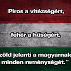 NoobWizzard's Avatar'