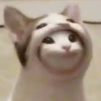 PxngLenis__'s Avatar'