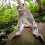 FusedArmor's Avatar'