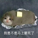 Tearful-catQAQ's Avatar'