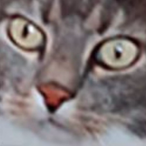NNA33's Avatar'
