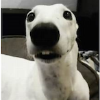 VitalsWrld's Avatar'