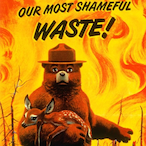 smokey_the.bear's Avatar'