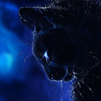queenk156's Avatar'