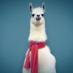 LLuay's Avatar'