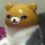 Scansimulator's Avatar'