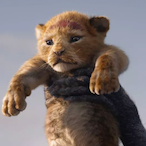 hardLlama21867's Avatar'