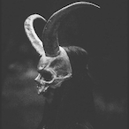 Zxrva's Avatar'