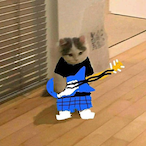Herky Perky1696's Avatar'