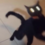 DarkKing212's Avatar'