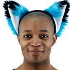 Funkyfox163's Avatar'