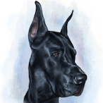 Great_Dane.'s Avatar'
