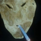 ElCacass.ZKPKC's Avatar'