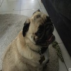 Ibench225984234's Avatar'