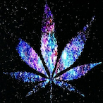 JZV9's Avatar'