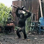 HajraSZDSZ's Avatar'