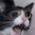 DogaoHS's Avatar'