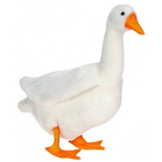 LordXbox420's Avatar'