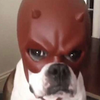 Cchowderrr's Avatar'
