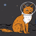 Star.Fox.'s Avatar'