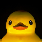 Duckyisyucky's Avatar'