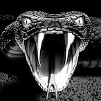 Badarmy107's Avatar'