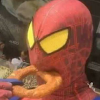 PiJohn13's Avatar'