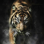 ItsScarFace's Avatar'