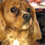 Connor170106's Avatar'