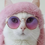 O4kodaw3's Avatar'