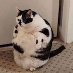 ItsJust_Red's Avatar'