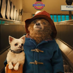 MrPaddington's Avatar