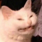 Mr.stealyoAlman's Avatar'