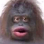 EhsayBaaa's Avatar'