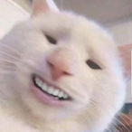 Free677777's Avatar'