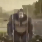Hank_de_Tank's Avatar'