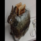 Pavelake153's Avatar