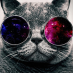 Youuuuuuuuuu613's Avatar'