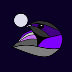 NightjarTV's Avatar'