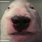 Bannann_Man's Avatar'