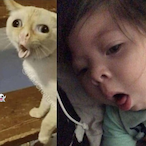 Milk Carton7873's Avatar'