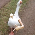 I_Dig_thru_bins's Avatar'