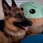 Andisito27's Avatar'