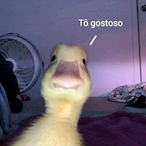 Jaconi_'s Avatar'