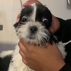 wOken_Trippy's Avatar'