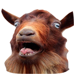 LowTierGonk's Avatar'